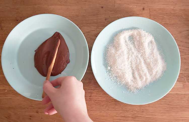 Assiette de chocolat fondu et assiette de coco râpée